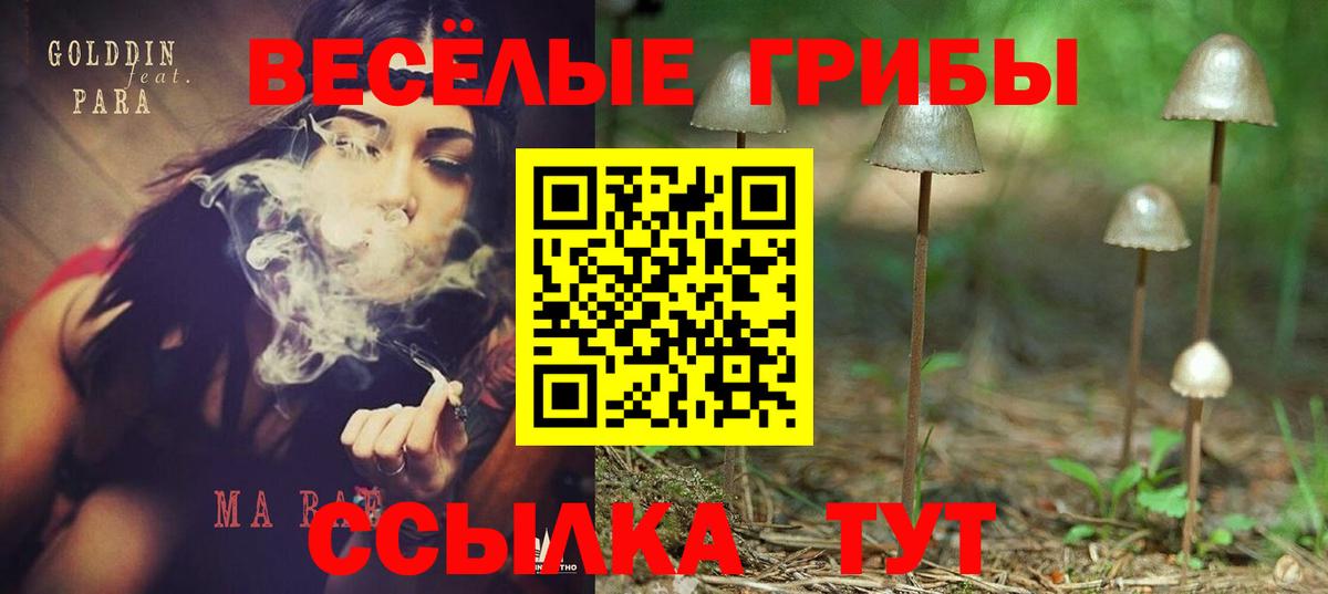 Псилоцибиновые грибы Psilocybe  Псилоцибиновые грибы Psilocybe  Кимовск  Вход с VPN 